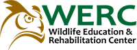 Wildlife Education & Rehabilitation Center Wildlife Education & Rehabilitation Center