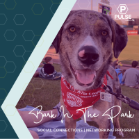 2021: Bark in the Park with Pulse Young Professionals Network