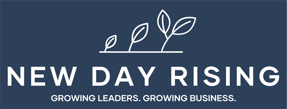 New Day Rising LLC