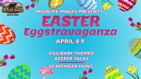 Easter Eggstravaganza-Wildlife Images 