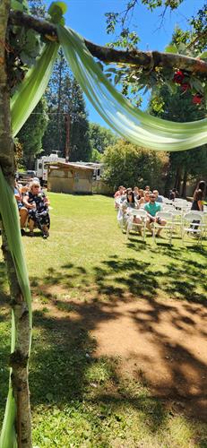 Get Married Under The Trees!