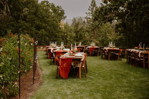 Farm tables set on the lawn. Farm tables set on the lawn.