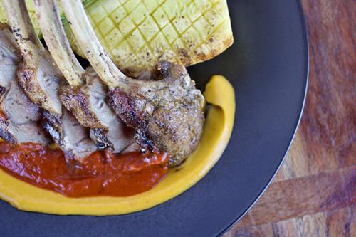 6.26.25 Partake: Lamb: Argentinian-rubbed lamb, pan-seared zucchini, cauliflower purée, and smoked pepper coulis. |GF 6.26.25 Partake: Lamb: Argentinian-rubbed lamb, pan-seared zucchini, cauliflower purée, and smoked pepper coulis. |GF