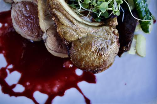 8.21.25 | Lamb | Mint parsley rubbed-lamb, confit purple potatoes, sautéed bok choy, and a plum cherry coulis. |GF|DF| 8.21.25 | Lamb | Mint parsley rubbed-lamb, confit purple potatoes, sautéed bok choy, and a plum cherry coulis. |GF|DF|