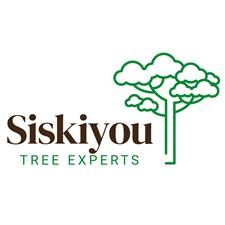 Siskiyou Tree Experts 