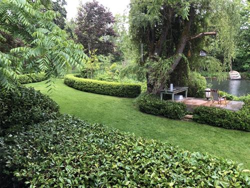 grants pass garden formal hedges