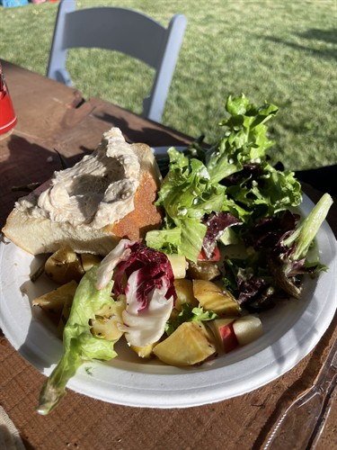 Gallery Image IMG_4019.JPEG