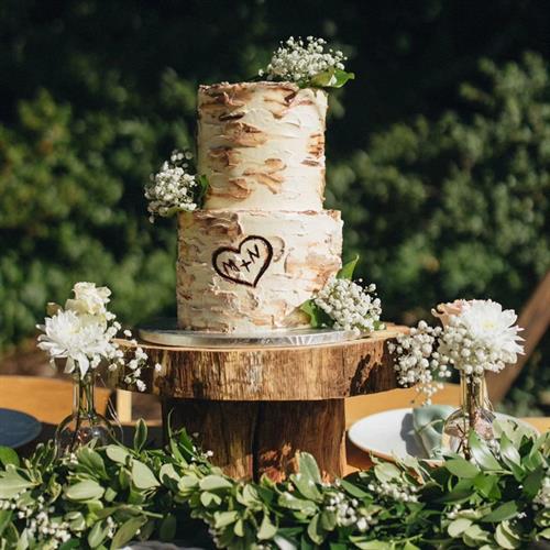 Birch Wood Cake