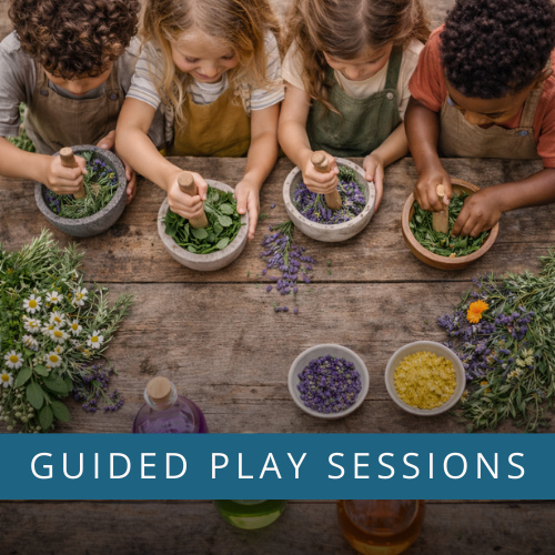 Gallery Image Guided_Play.png