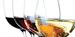 CLASS: January 2015 Networking & Wine Tasting
