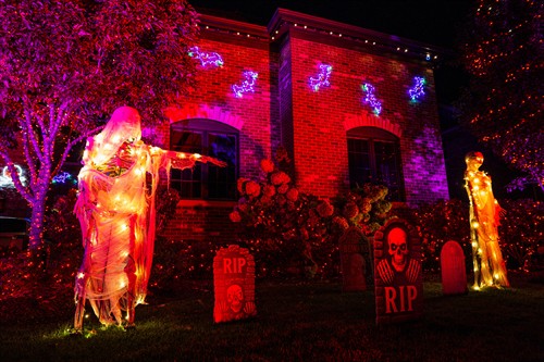 Gallery Image P1274887.jpg