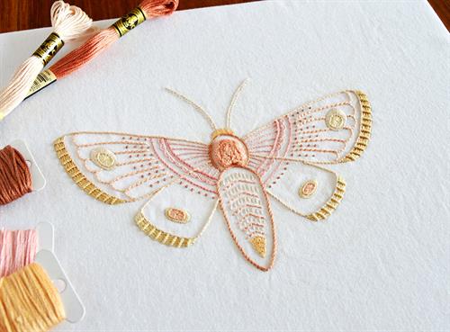 Gallery Image Maydel-AnatomicalMoth_KellyFletcher.jpg