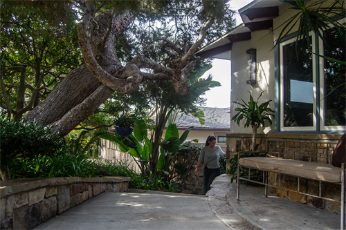 Architecture and Landscape Integrated