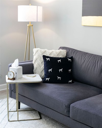 Lakeview therapy office. Calming, comfortable space for anxiety and depression therapy in Chicago, IL.