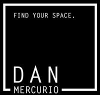 D Mercurio & Company INC