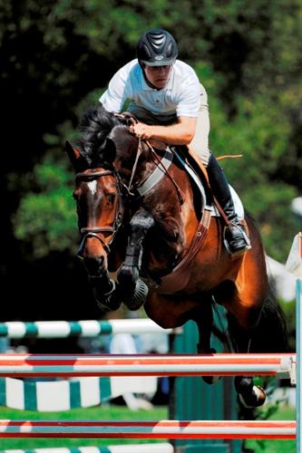Gallery Image Lexia_RushAT2001_2.jpg Gallery Image Lexia_RushAT2001_2.jpg