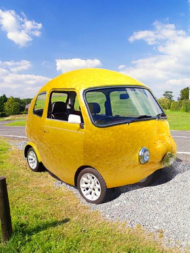 Gallery Image lemon_car.jpg Gallery Image lemon_car.jpg
