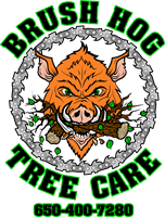 Brush Hog Tree Care Inc