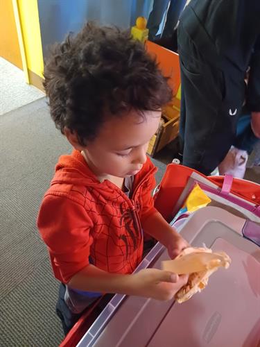 Gallery Image 1000017251.jpeg