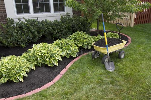 Garden Bed featuring Black Mulch