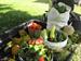Open Farm day at Yahweh's  All Natural Farm and Garden
