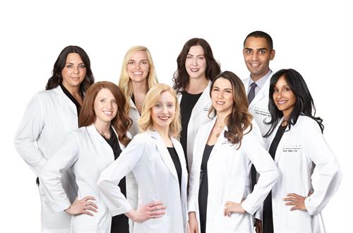 Group photo of our Providers, from left to right (top row): Niki Christopoulos, MD, FACS, Brittany Rank, PA-C, Carolyn Jacob, MD, FAAD, Omer Ibrahim, MD FAAD. From Left to right (bottom row): Whitney Hersh, PA-C, Caroline Sheppard, PA-C, Rachel Pritzker, MD, FAAD, Nirali Shah-Miller, PA.