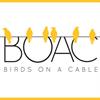 Birds on a Cable, LLC