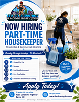 DV CLEANING & HOME SERVICES LLC