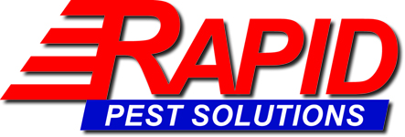 Rapid Pest Solutions