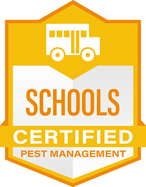 Gallery Image schools-web.jpg