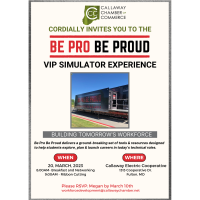 Be Pro Be Proud VIP Simulator Experience