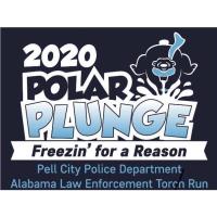 2020 Polar Plunge 