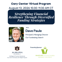 Stregthening Financial Resilience Through Diversified Funding Strategies