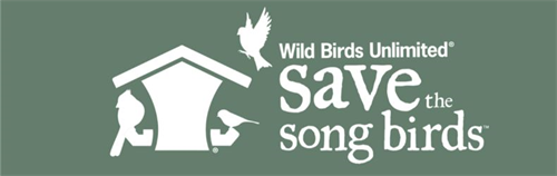 Save the Song Birds!