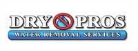 Dry Pros