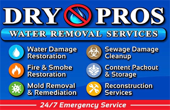 Dry Pros