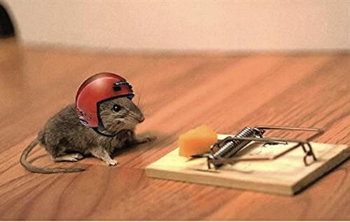 Gallery Image IMG_3413.jpeg