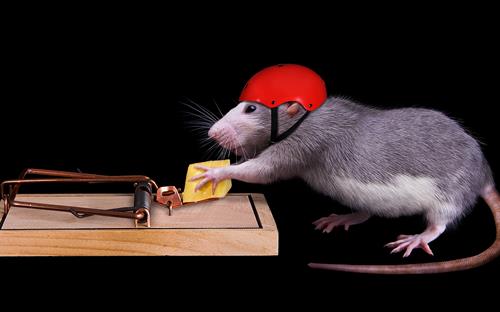 Gallery Image IMG_5178.jpeg