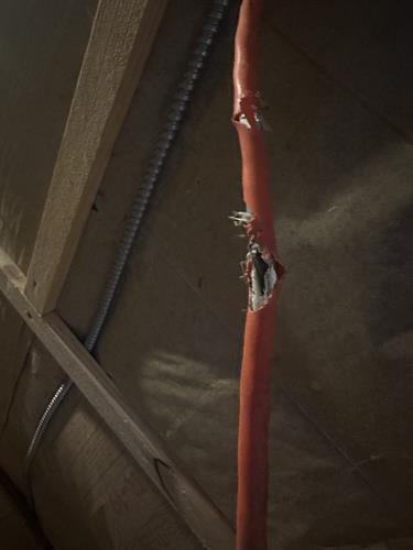 Gallery Image IMG_9274.jpeg