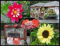 South Fork General Store