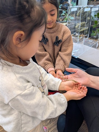 Students exploring nature and science through hands-on learning at Quantum STEM School in Snoqualmie.