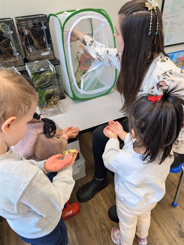 Students exploring science and nature through hands-on discovery at Quantum STEM School.