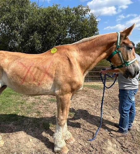 Gallery Image IMG_0357.jpeg