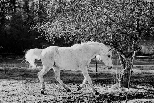 Gallery Image IMG_3795.jpeg