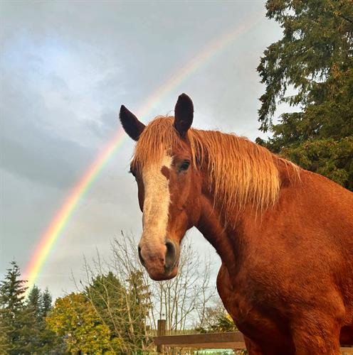 Gallery Image IMG_6086.jpeg