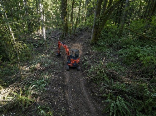 Gallery Image after-trail.jpg