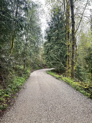 Gallery Image p-gravel-road.jpg
