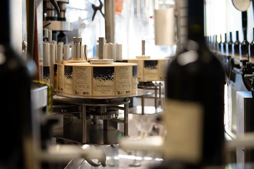 I can photograph seasonal processes at wineries!