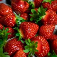 United Church of Jaffrey Strawberry Festival