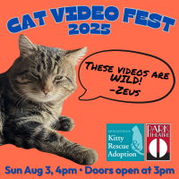 2025 Cat Video Fest